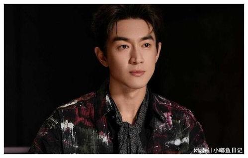 爆料娱乐圈 林更新,揭秘明星幕后故事 第3张 爆料娱乐圈 林更新,揭秘明星幕后故事 第3张